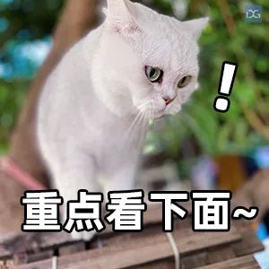 DƬ